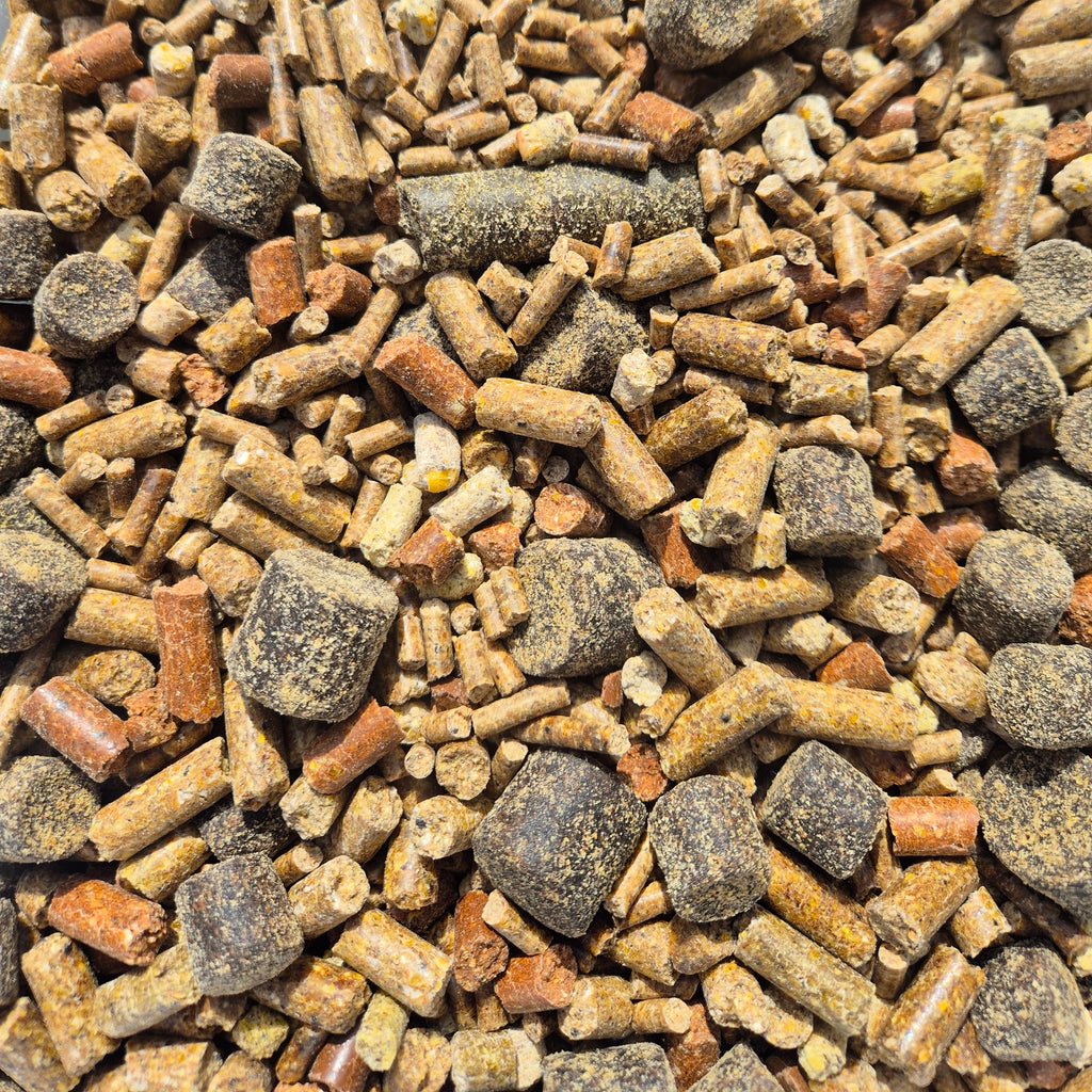CSB PRO FISH BIG CARP