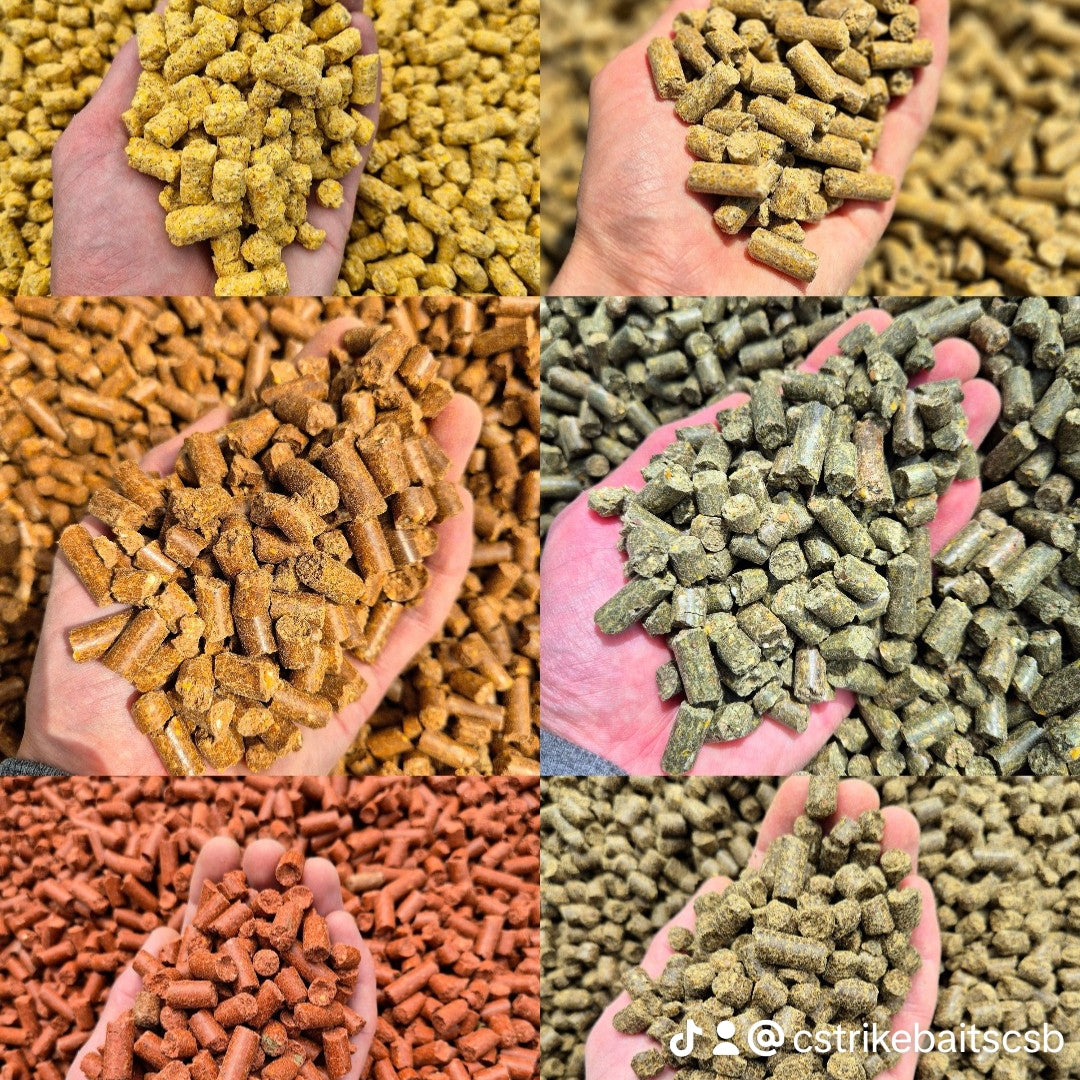 Komplettes CSB-Sitzungspaket — Boilies, Pellets & Premium