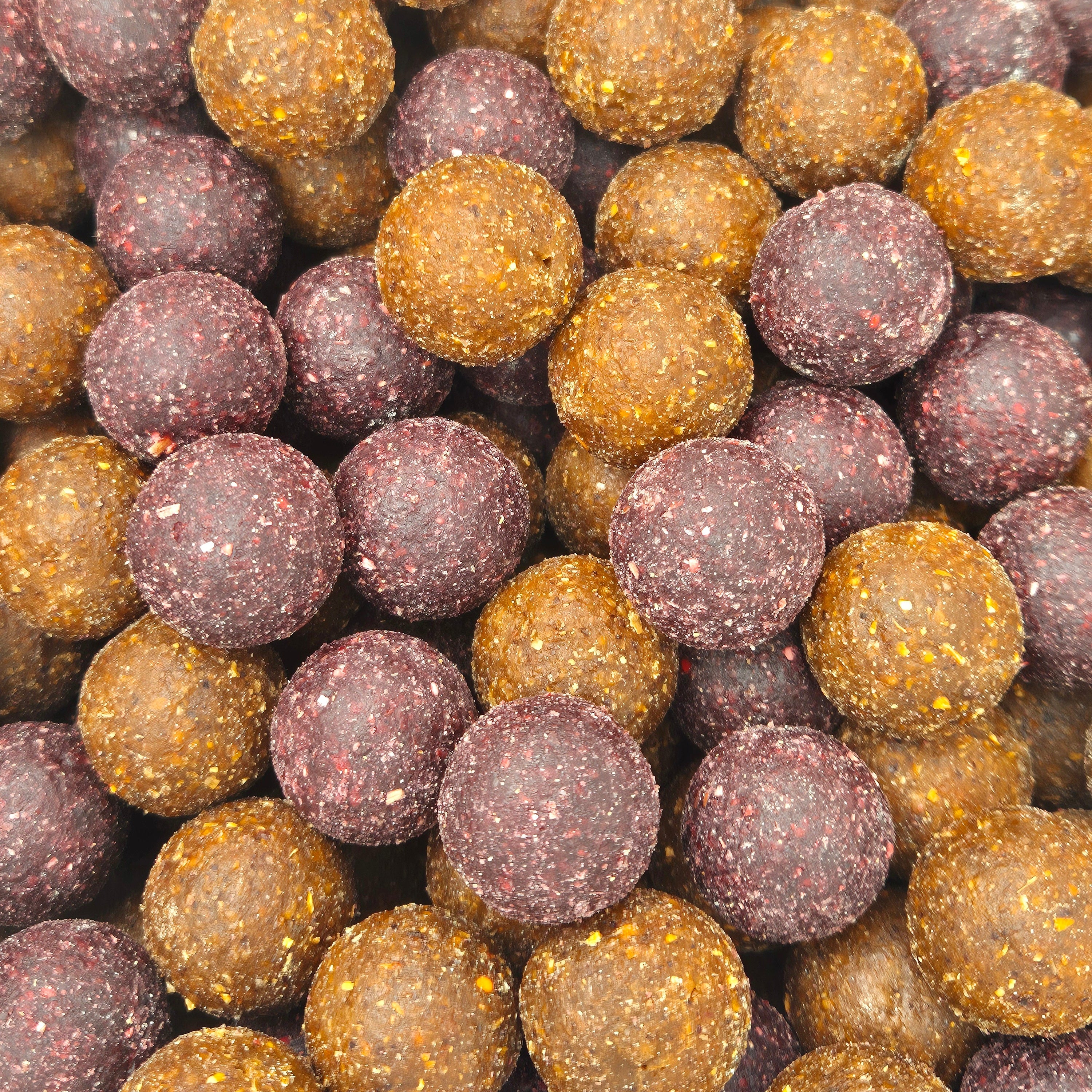 Seeding – Meeresgewürze