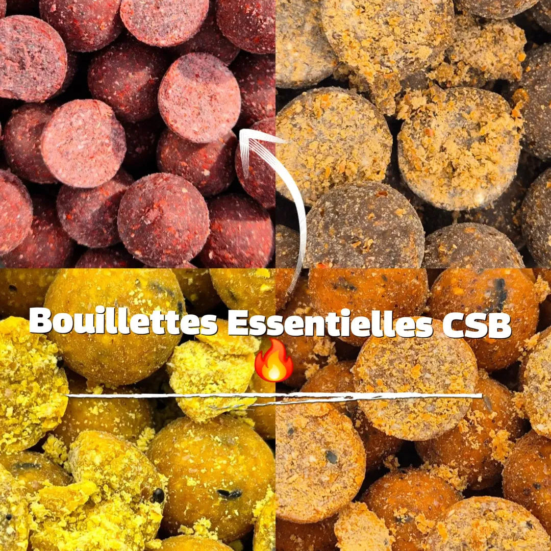 🎣 CSB Session Pack – Full Strategy
