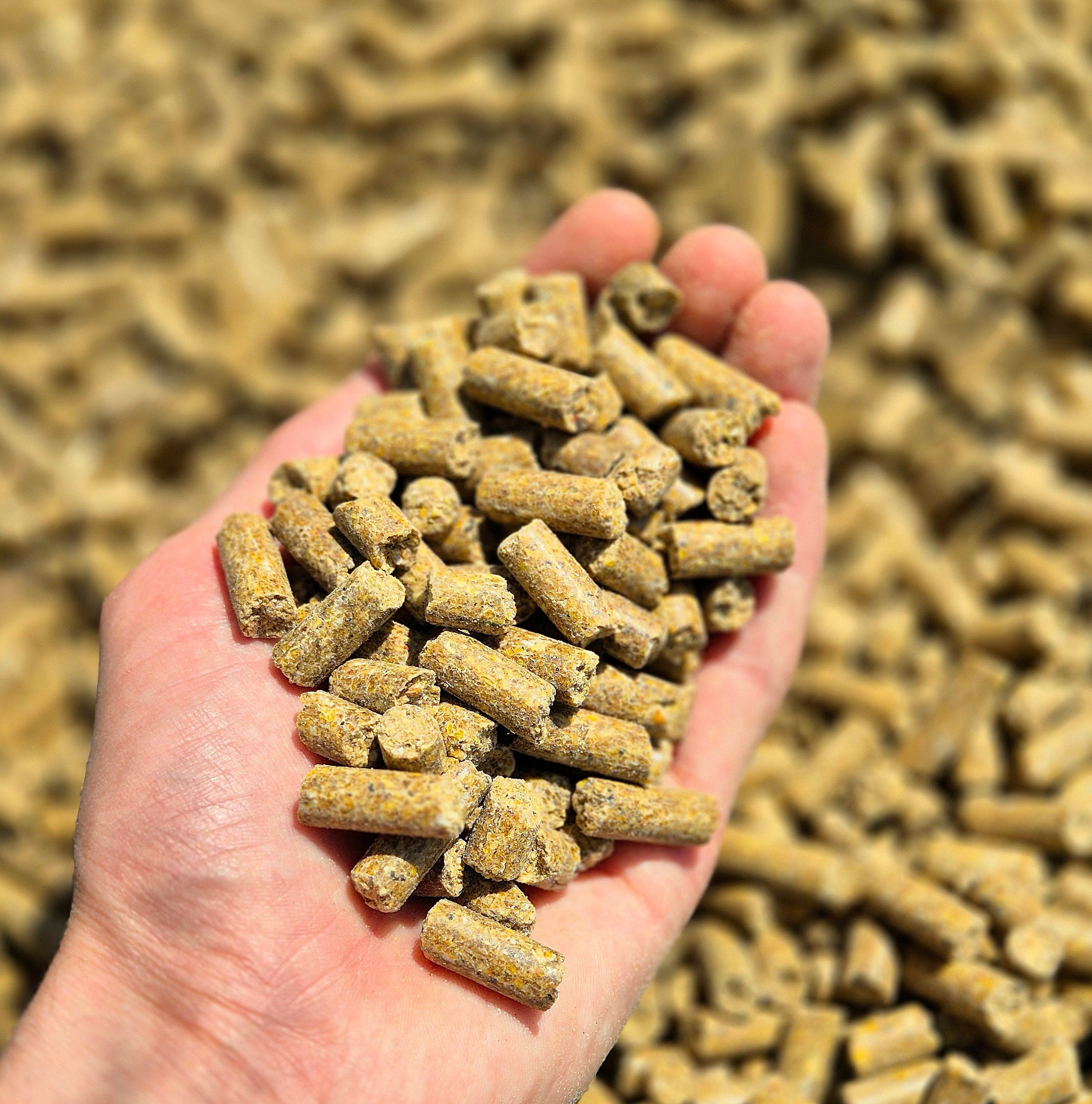 BabyCorn Fish 8mm - 5kg / 10kg