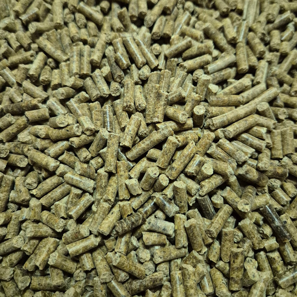 Entdeckerpaket C'STRIKE BAITS – Testen Sie unsere Köder