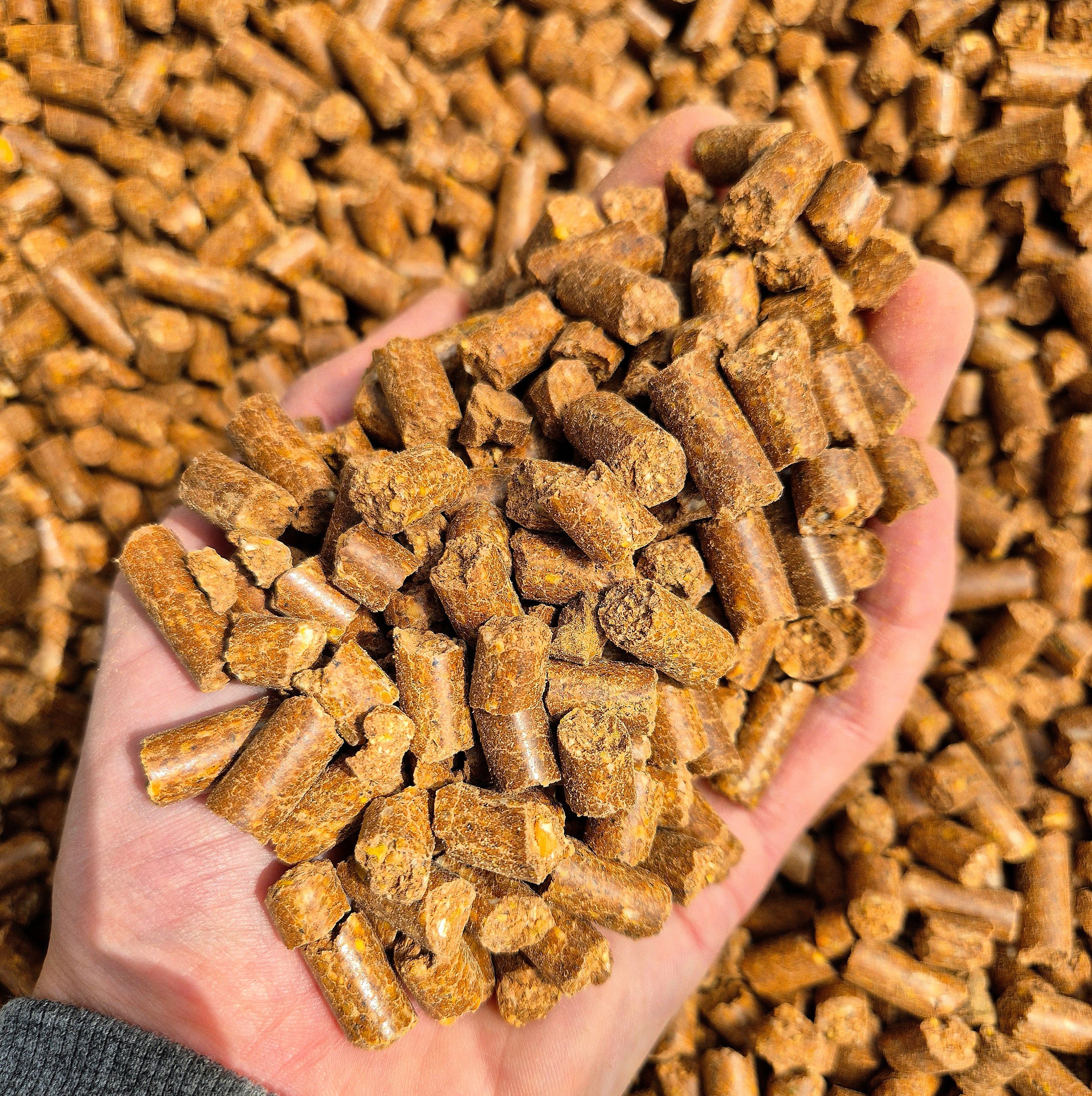 BabyCorn Krill 8mm - 5kg / 10kg