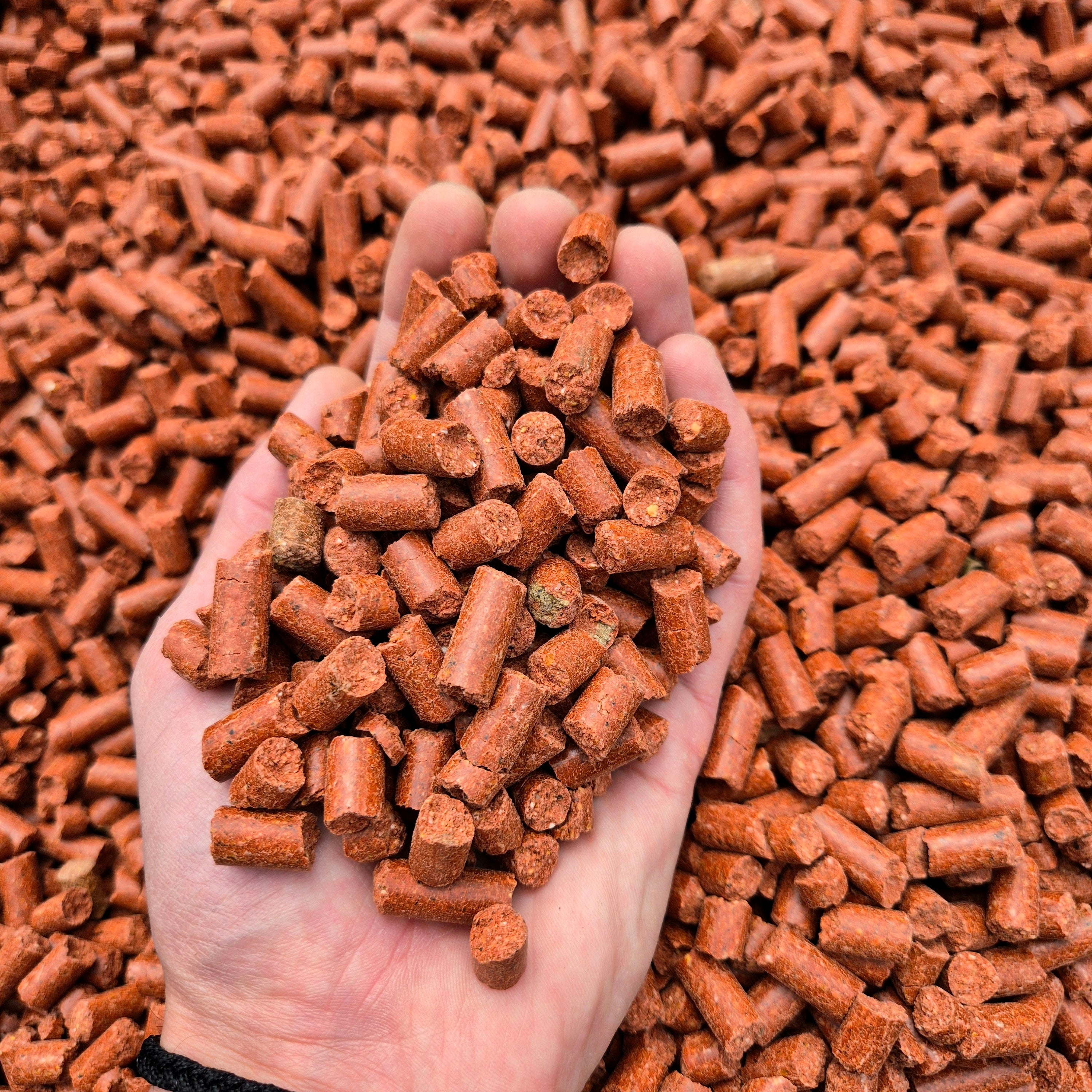 BabyCorn RobinRED 8mm - 5kg / 10kg