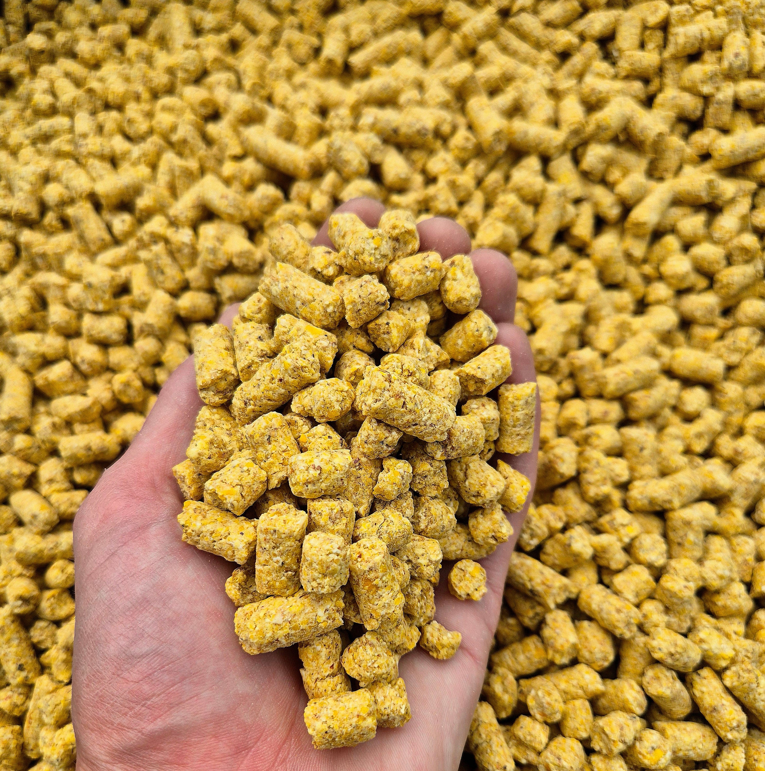 BabyCorn Original - 5 kg / 10kg
