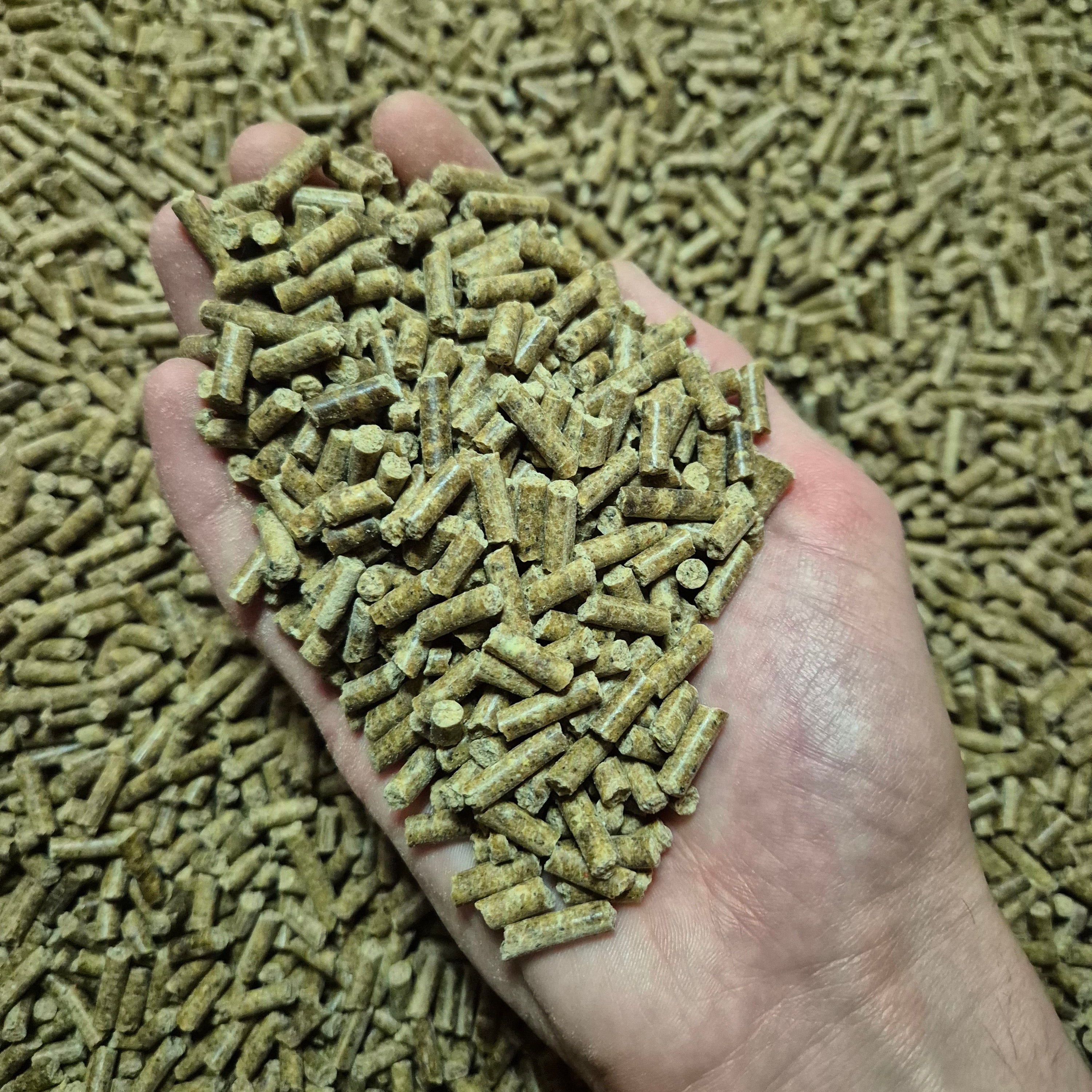 Pellets Carpe Pro ECO – 4 mm – 5 kg / 10 kg