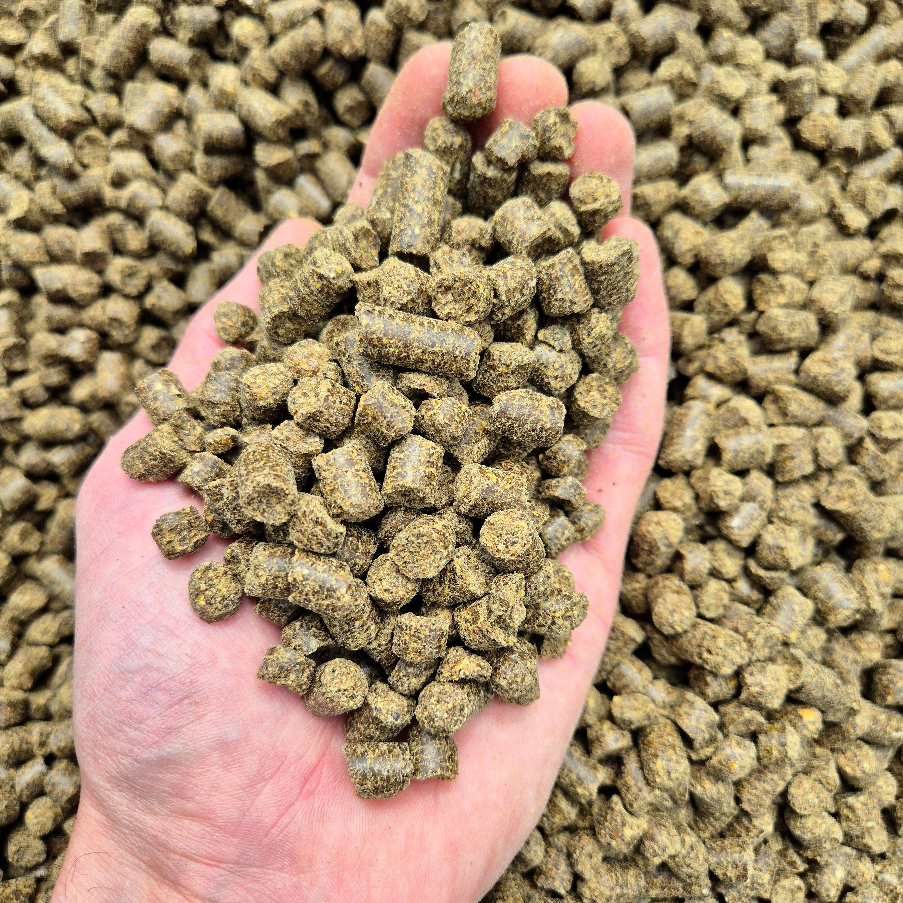 Pellet Chanvre 8mm - 5kg / 10kg