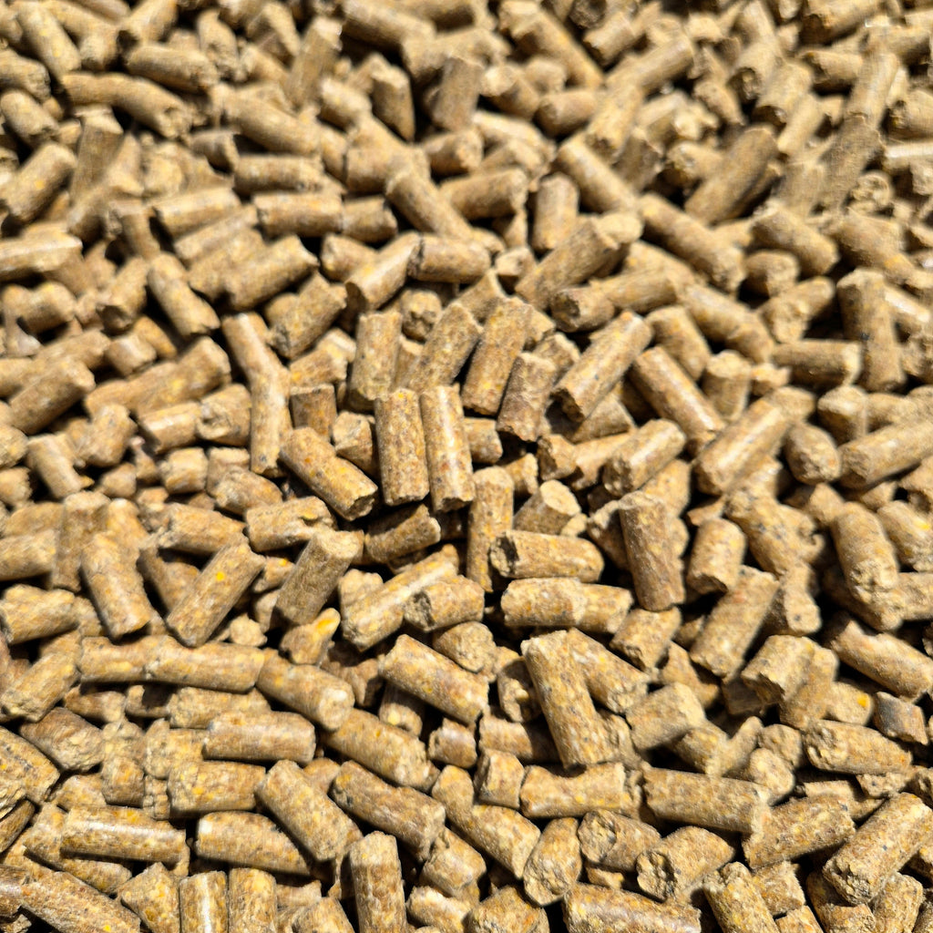 BabyCorn Fisch 8mm