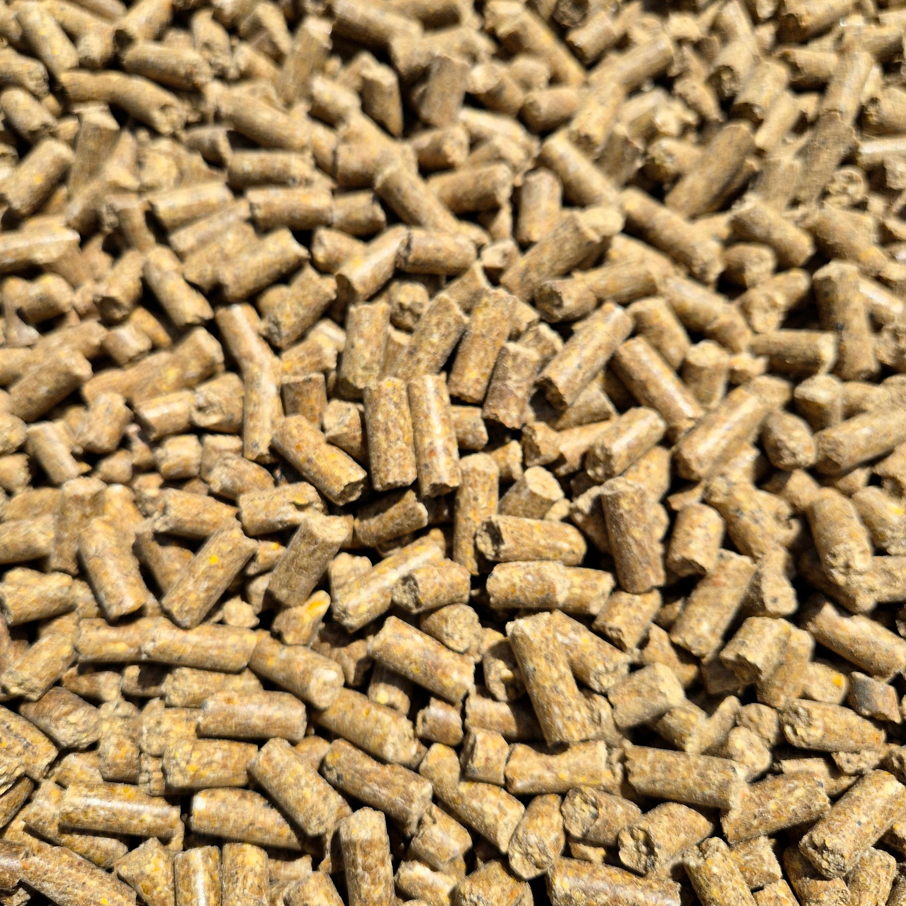 BabyCorn Fish 8mm - 5kg / 10kg
