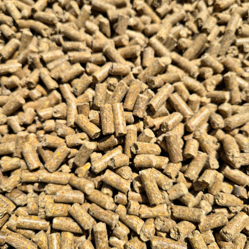 BabyCorn Fish 8mm - 5kg / 10kg
